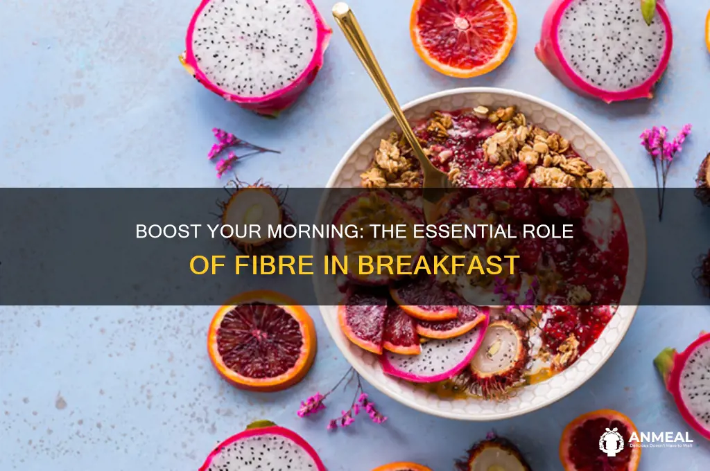why should breakfast have fibre