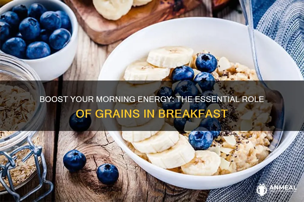 why should grains be in your breakfast