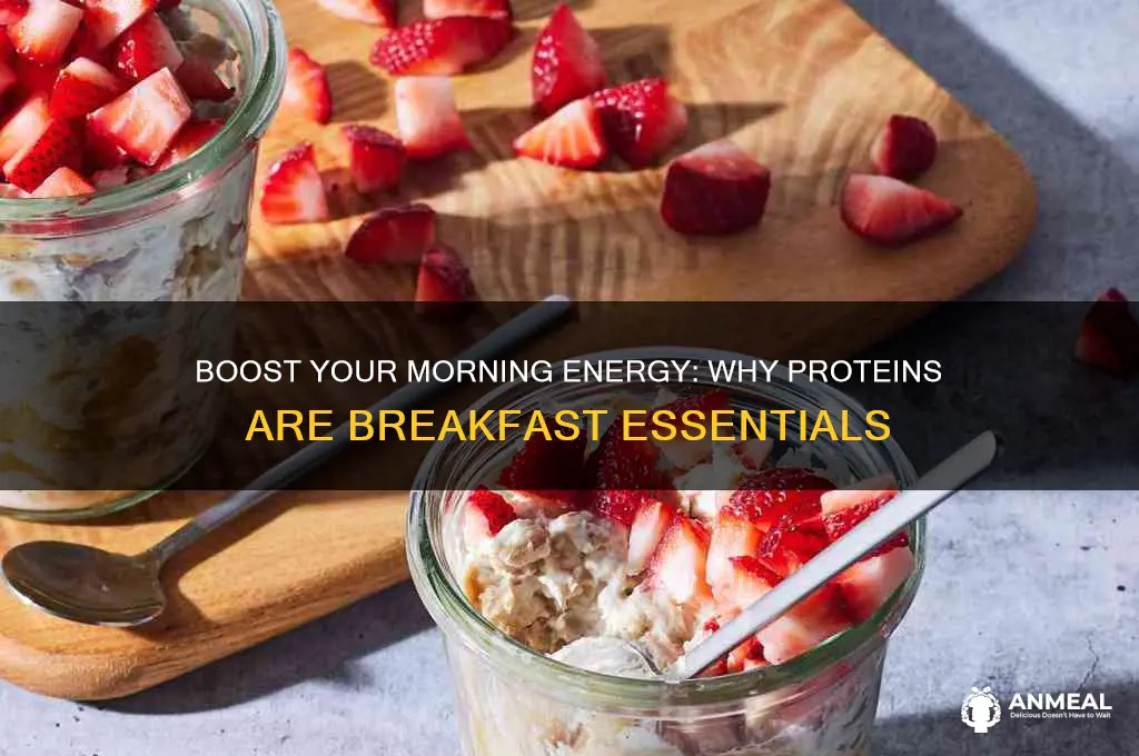 why should protiens be in a breakfast