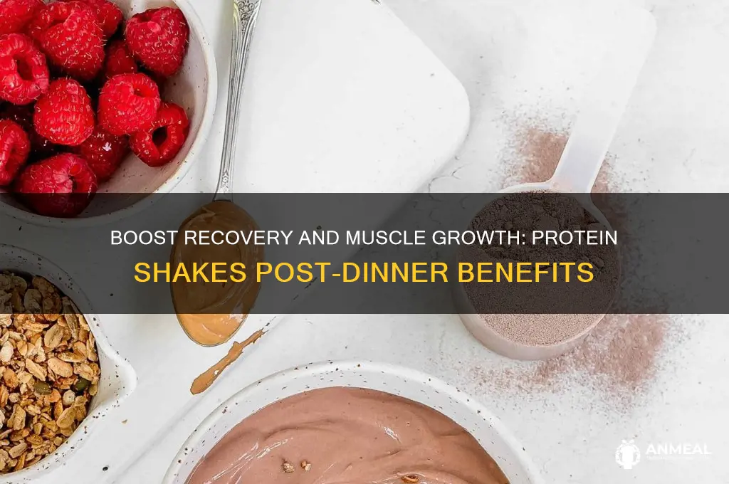 why should you drink a protein shake after dinner