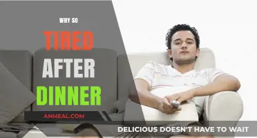 Post-Dinner Fatigue: Understanding Why You Feel So Tired After Eating