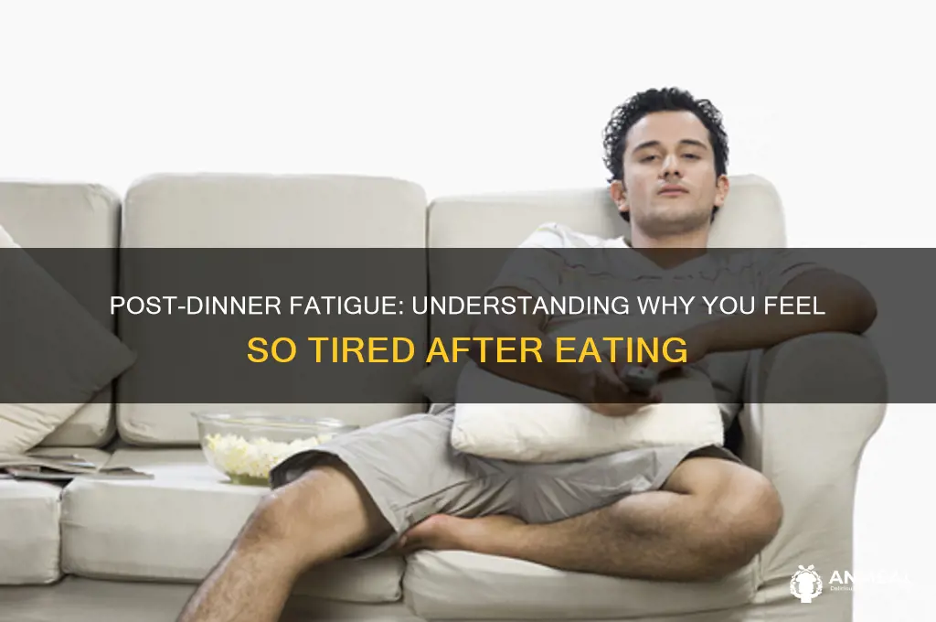 why so tired after dinner