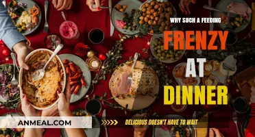 Why Dinner Time Turns into a Feeding Frenzy: Unraveling the Chaos