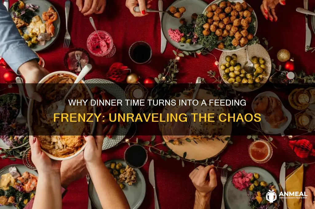 why such a feeding frenzy at dinner