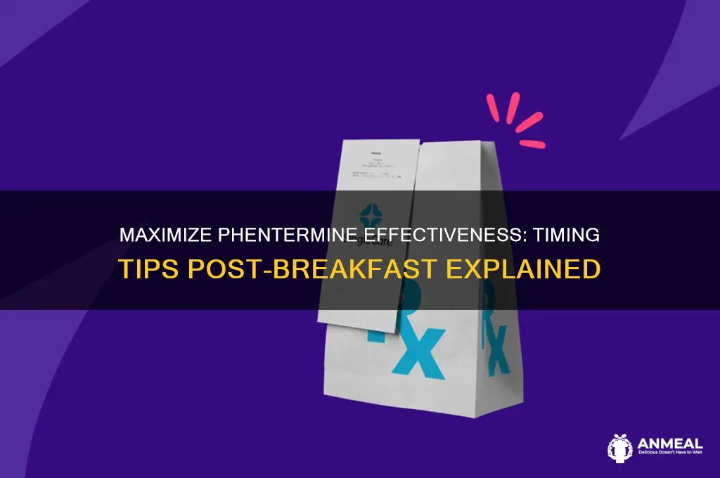 why take phentermine 2 hours after breakfast
