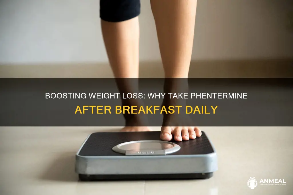 why take phentermine after breakfast