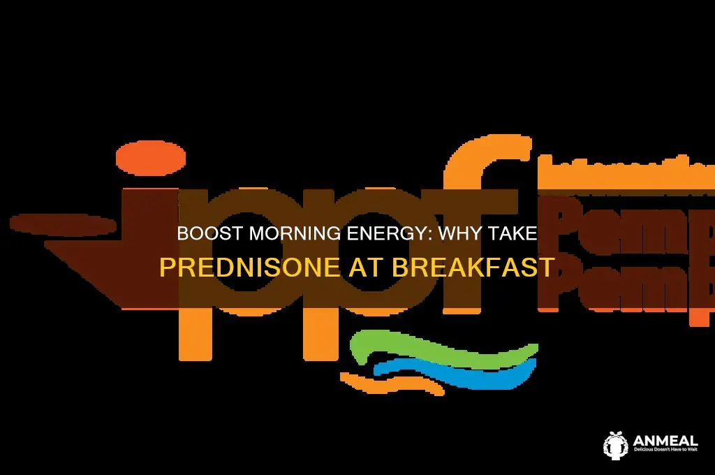 why take prednisone at breakfast
