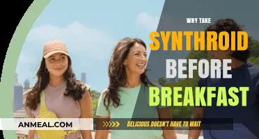 Maximize Synthroid Absorption: Why Take It Before Breakfast Matters