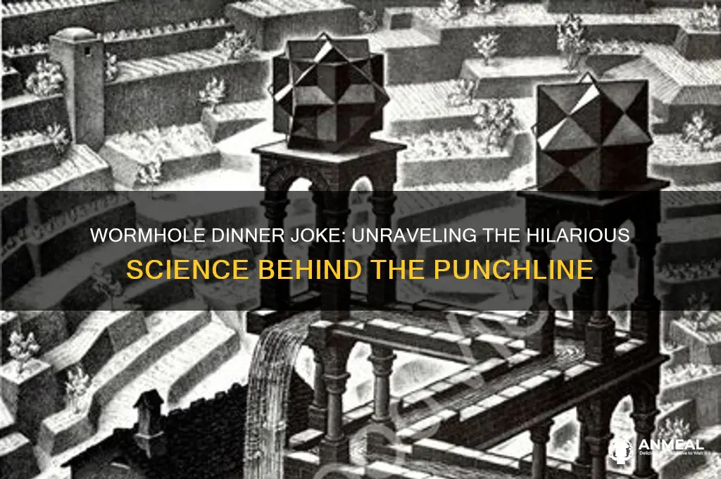 why the worm hole dinner joke