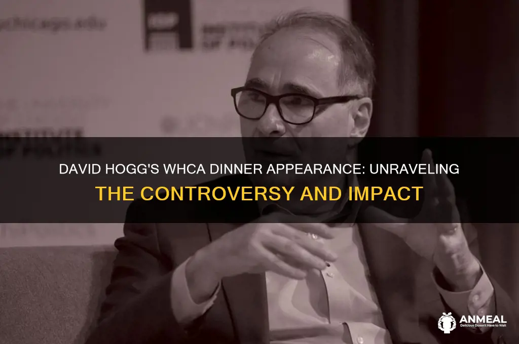 why was david hogg at whca dinner