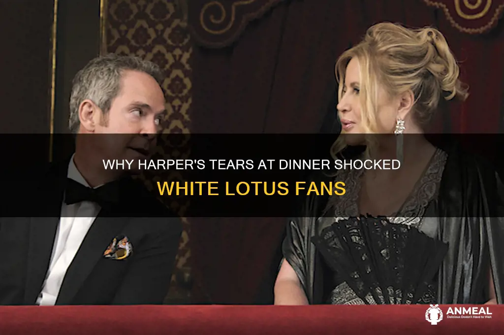 why was harper crying at dinner white lotus