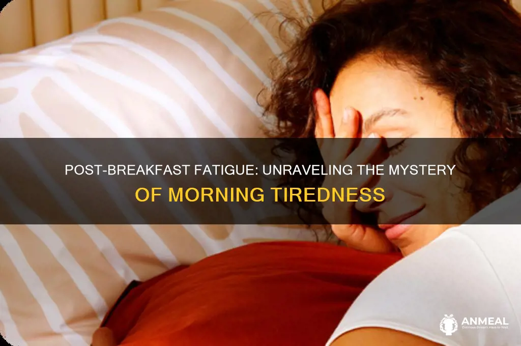why was i so tired after having breakfast