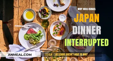 Israel-Japan Diplomatic Dinner Interrupted: Unraveling the Unexpected Disruption