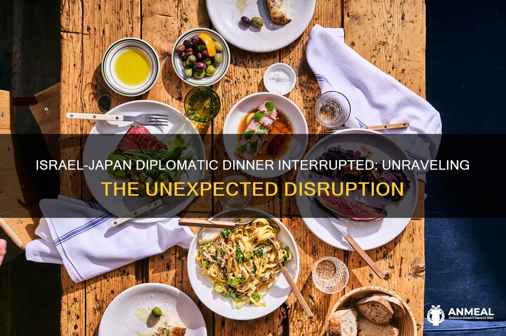 why was israel japan dinner interrupted