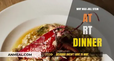 Jill Stein's RT Dinner Appearance: Controversy and Political Implications