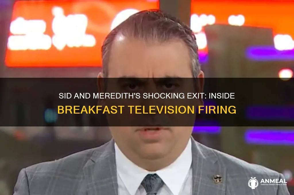 why was sid and meredith fired from breakfast television
