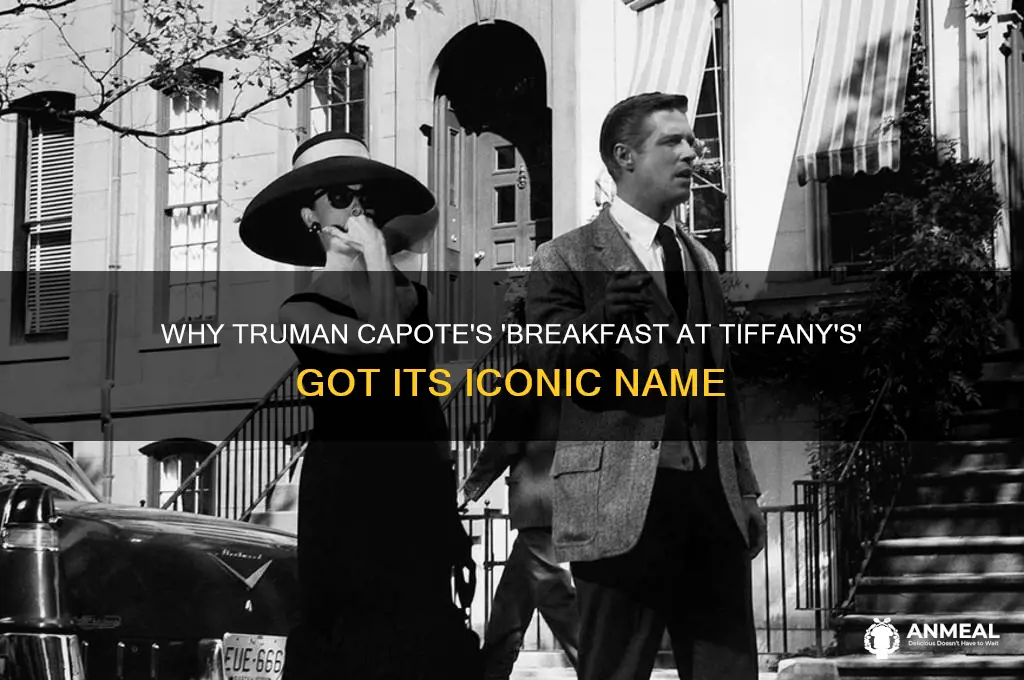 why was the book call breakfast at tiffanys
