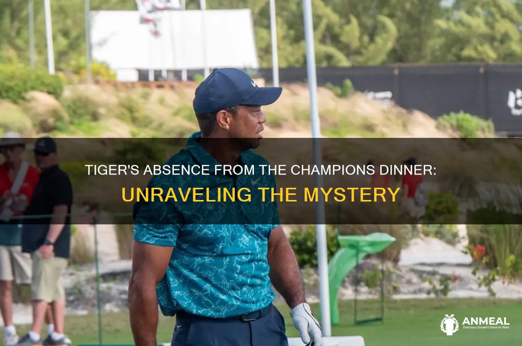 why wasnt tiger at champions dinner