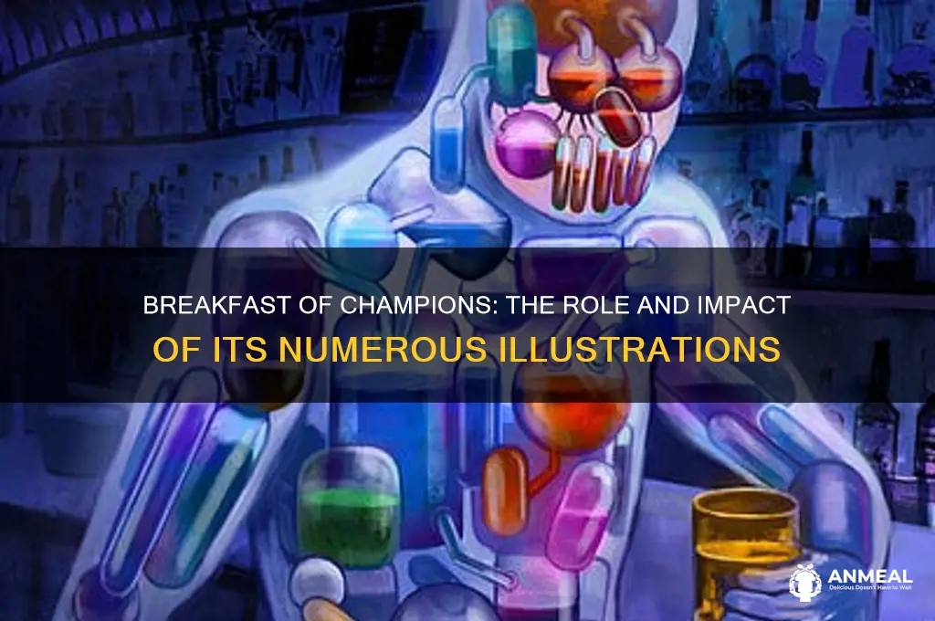 why were there so many illustrations in breakfast of champions
