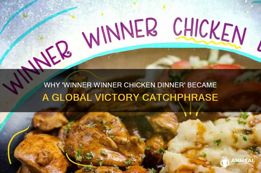 why winner winner chicken dinner