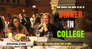 Why College Dinners Are Essential for Social and Academic Growth