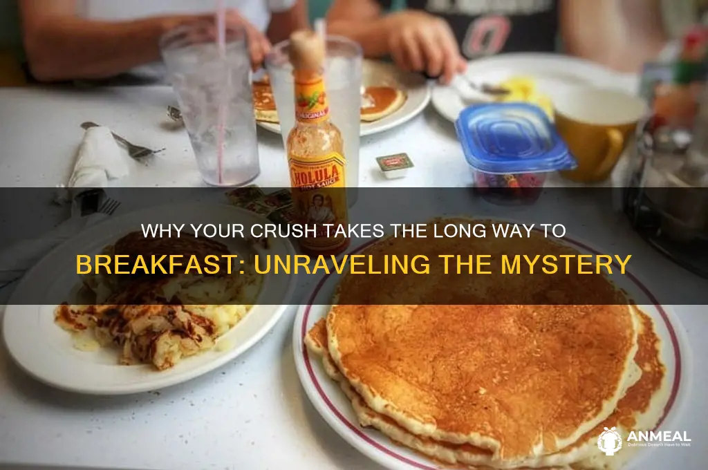 why would your crush take the long way to breakfast