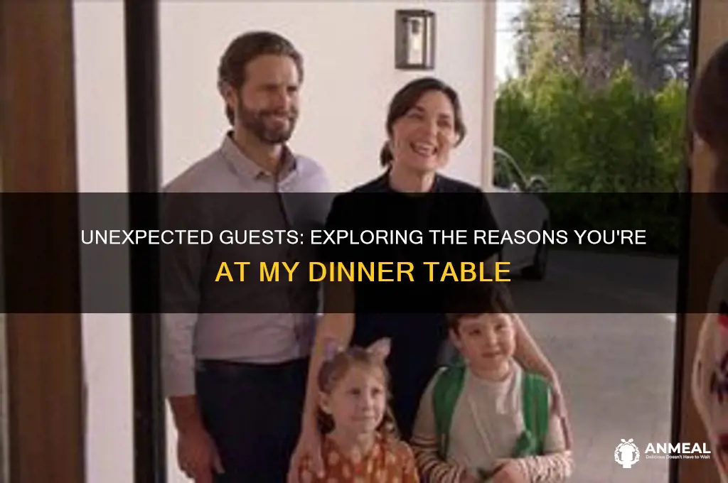 why you at my dinner table