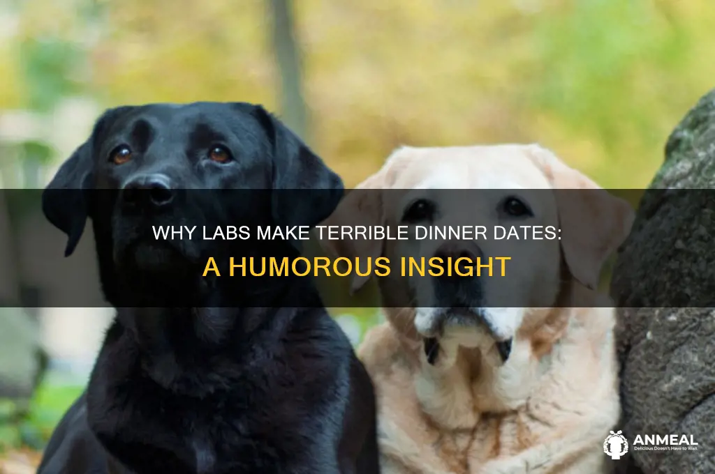 why you dont take a lab to dinner