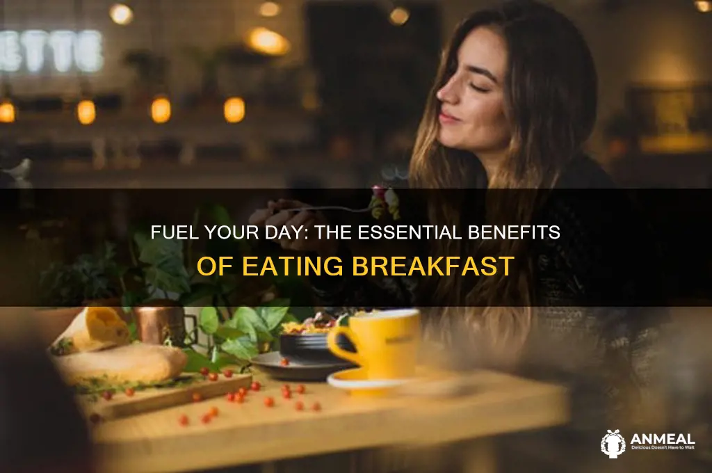 why you need breakfast