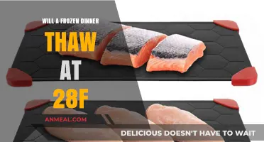Will Your Frozen Dinner Thaw at 28°F? Find Out Here