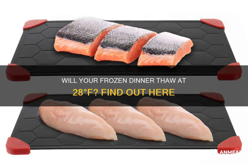 will a frozen dinner thaw at 28f
