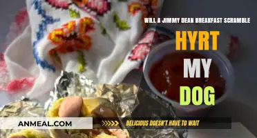 Can Dogs Eat Jimmy Dean Breakfast Scramble? Risks and Safety Tips