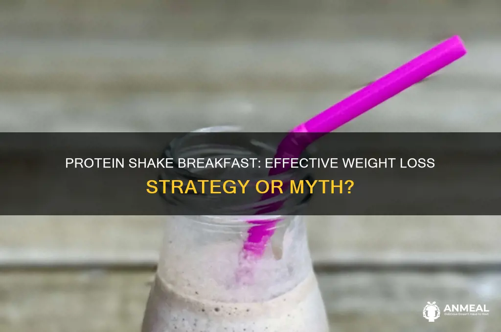 will a protein shake for breakfast help me lose weight