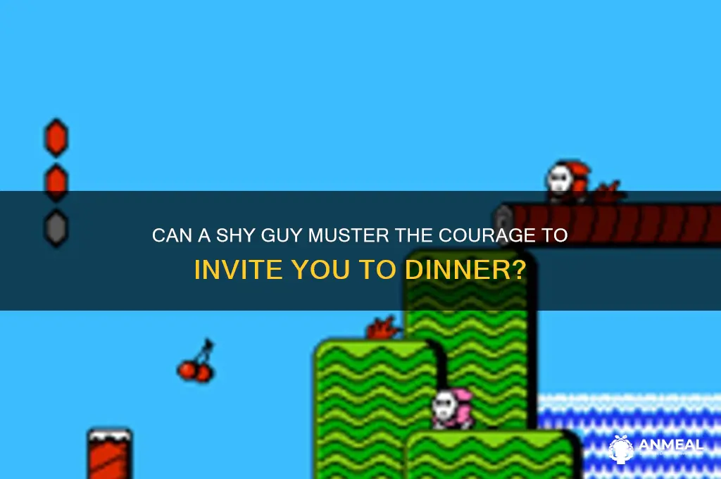 will a shy guy ever ask you to dinner