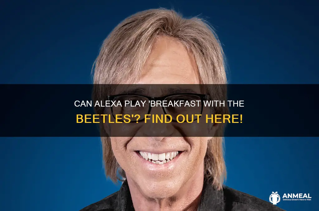 will alexa play breakfast with the beetels