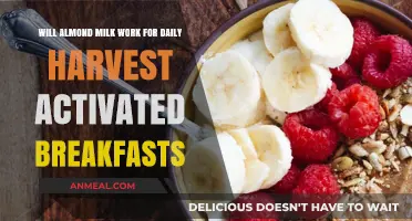 Almond Milk and Daily Harvest: A Perfect Breakfast Match?