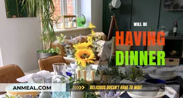 Dinner Plans: What to Expect When You’re Having Dinner Tonight