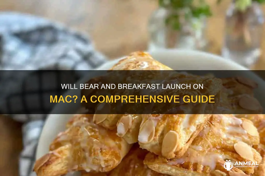 will bear and breakfast be on mac