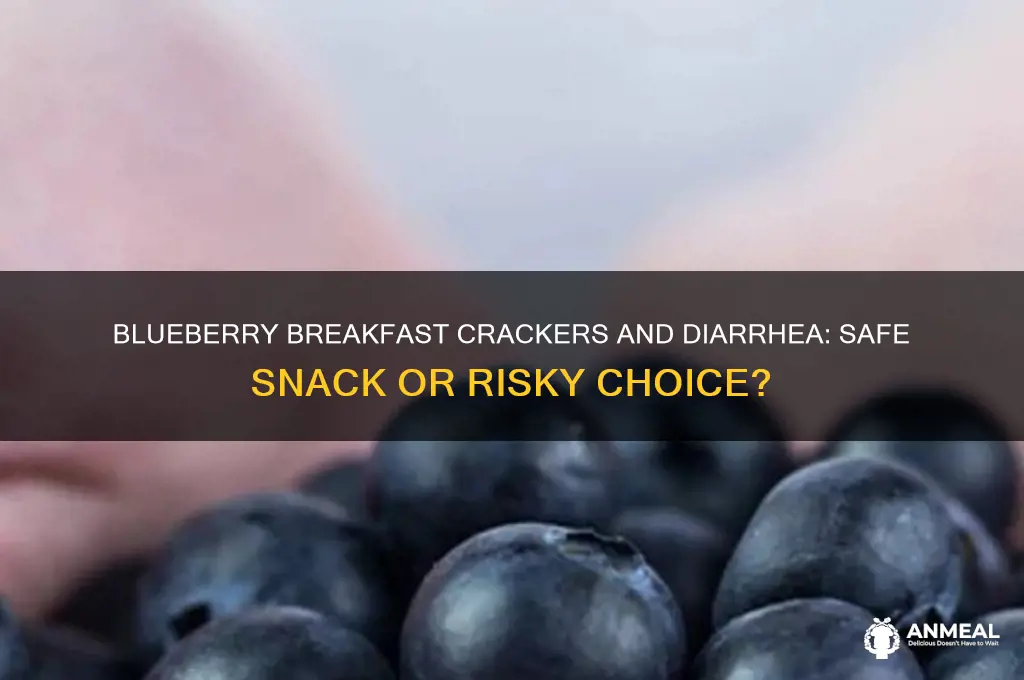 will blueberry breakfast crackers hurt if i have diarrhea