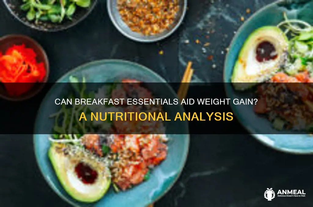 will breakfast essentials help gain weight