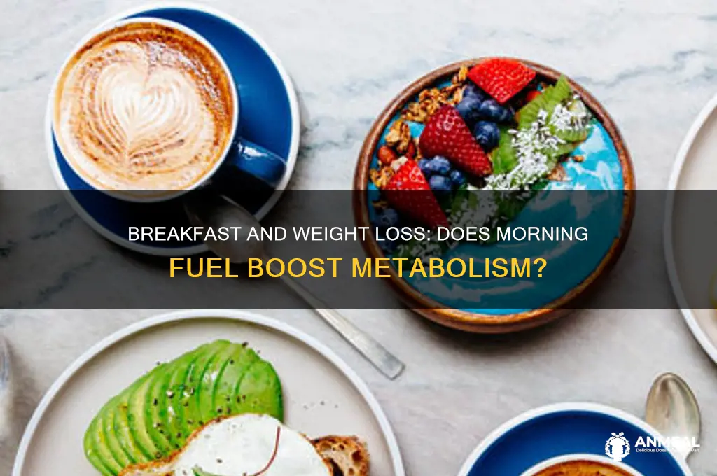 will breakfast help you lose weight