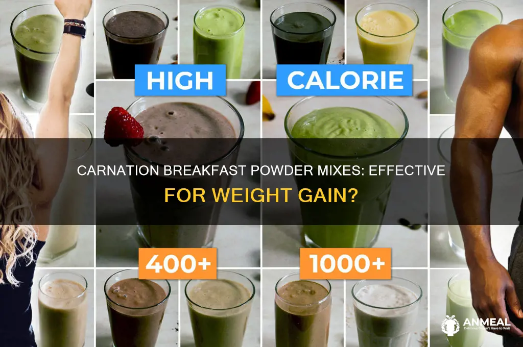 will carnation breakfast powder mixes help you gain weight