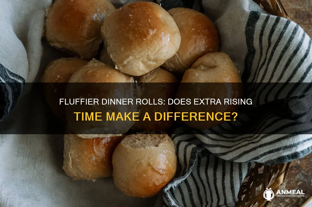 will dinner rolls get fluffier by letting them rise longer