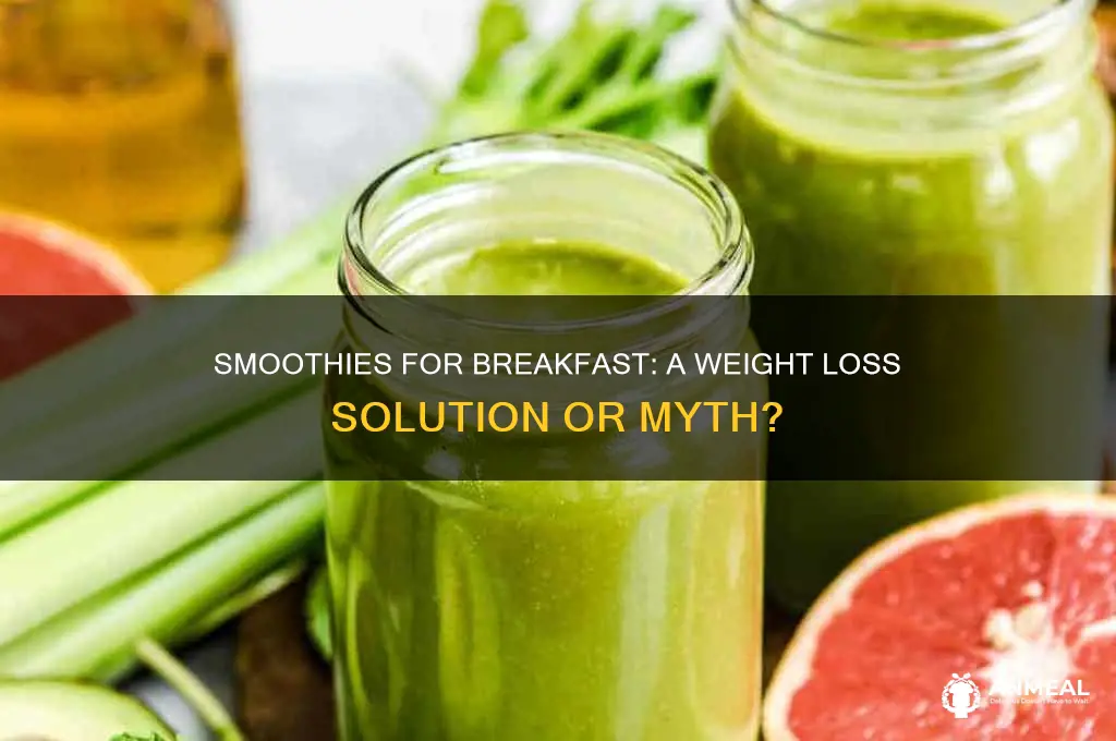 will drinking smoothies for breakfast help me lose weight