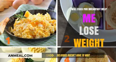 Eggs for Breakfast: A Weight Loss Ally or Myth?