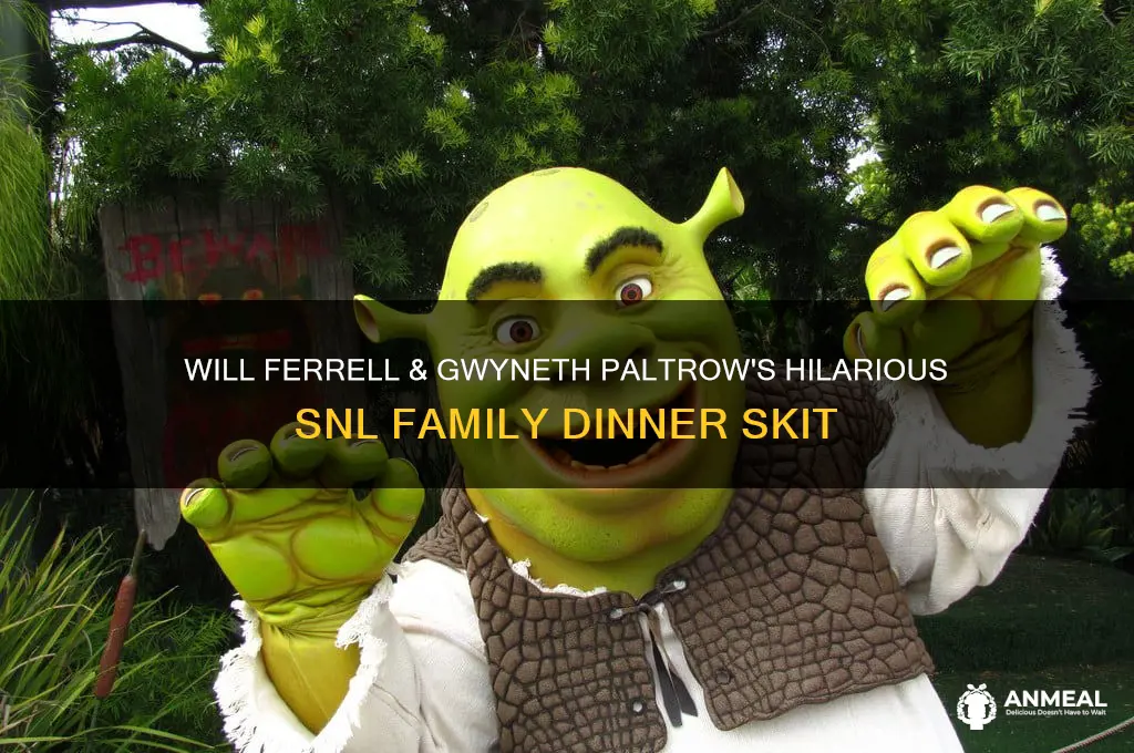 will ferrell gwyneth paltrow family dinner snl