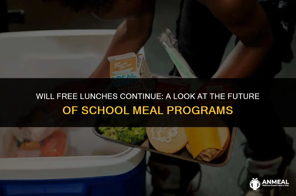 will free lunches continue