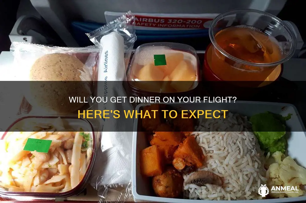 will i get dinner on my flight
