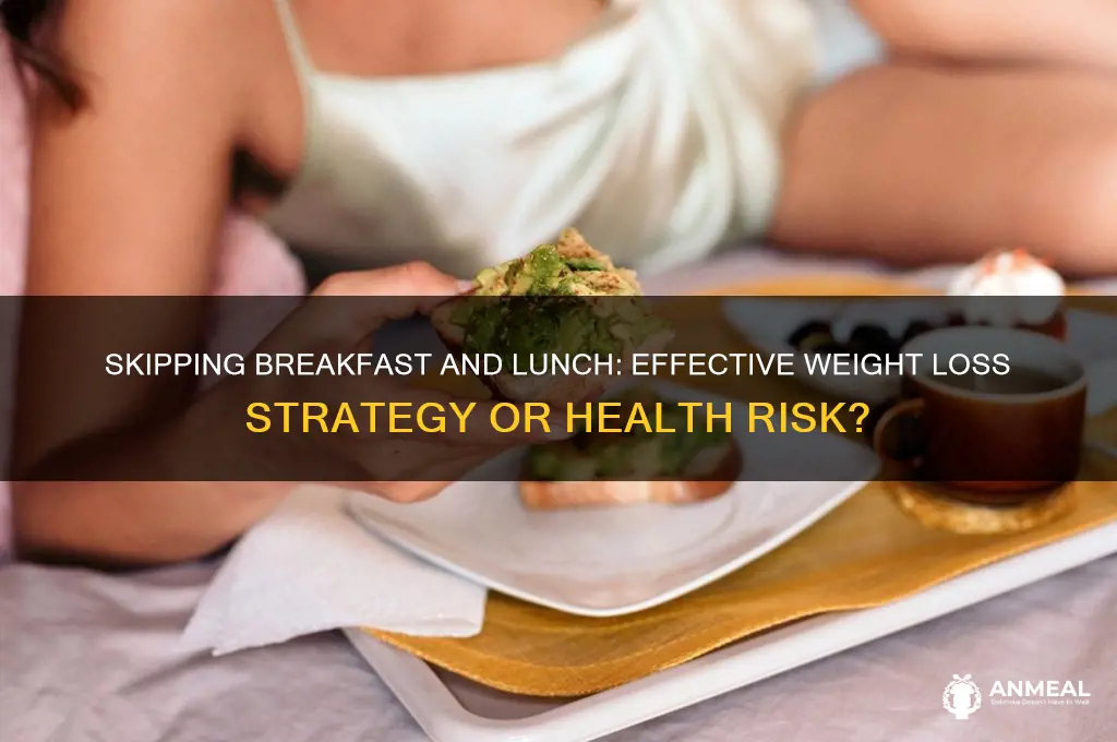 will i lose weight if i skip breakfast and lunch