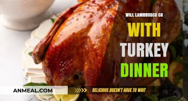 Pairing Lambrusco with Turkey Dinner: A Festive Wine Match?